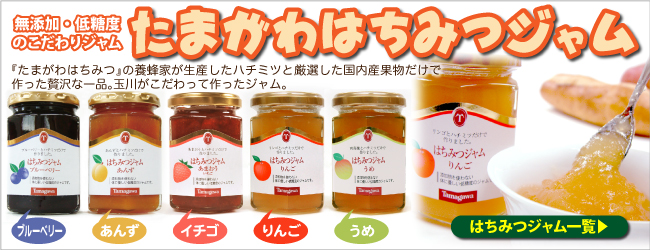 ̵ź�á������٤Τ�����ꥸ��ि�ޤ���Ϥ��ߤĥ����